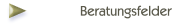 Beratungsfelder