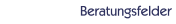 Beratungsfelder